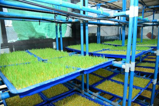 Solar-powered Vertical Fodder Grow Unit